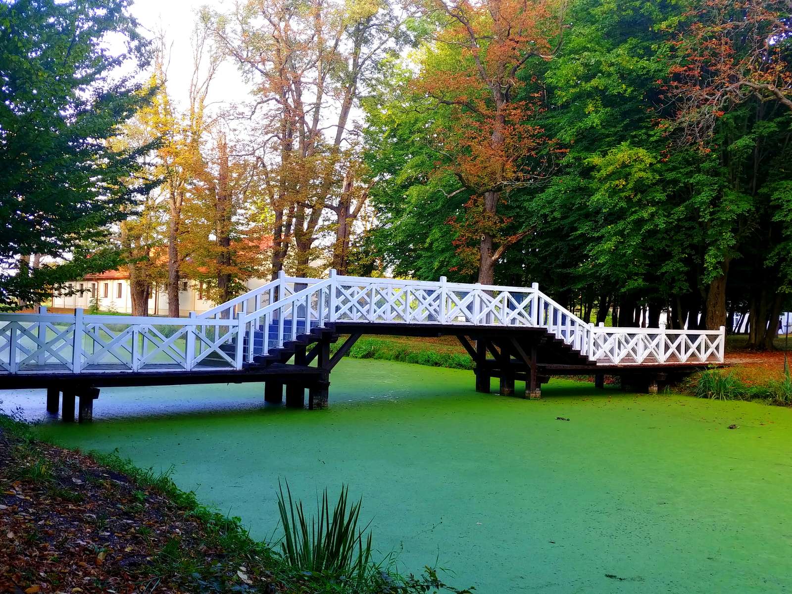 Parcheggiare a Brno puzzle online