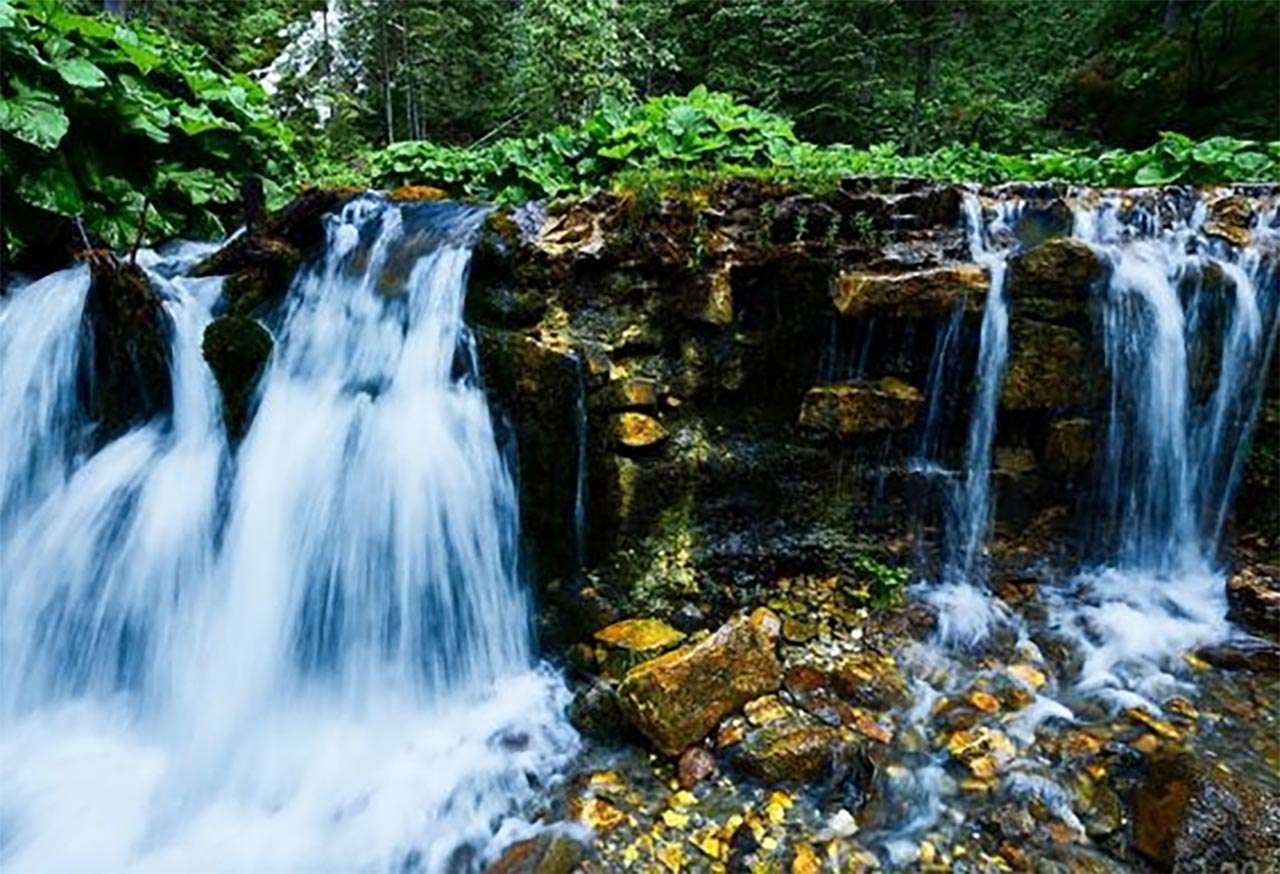 Apa - viață jigsaw puzzle online