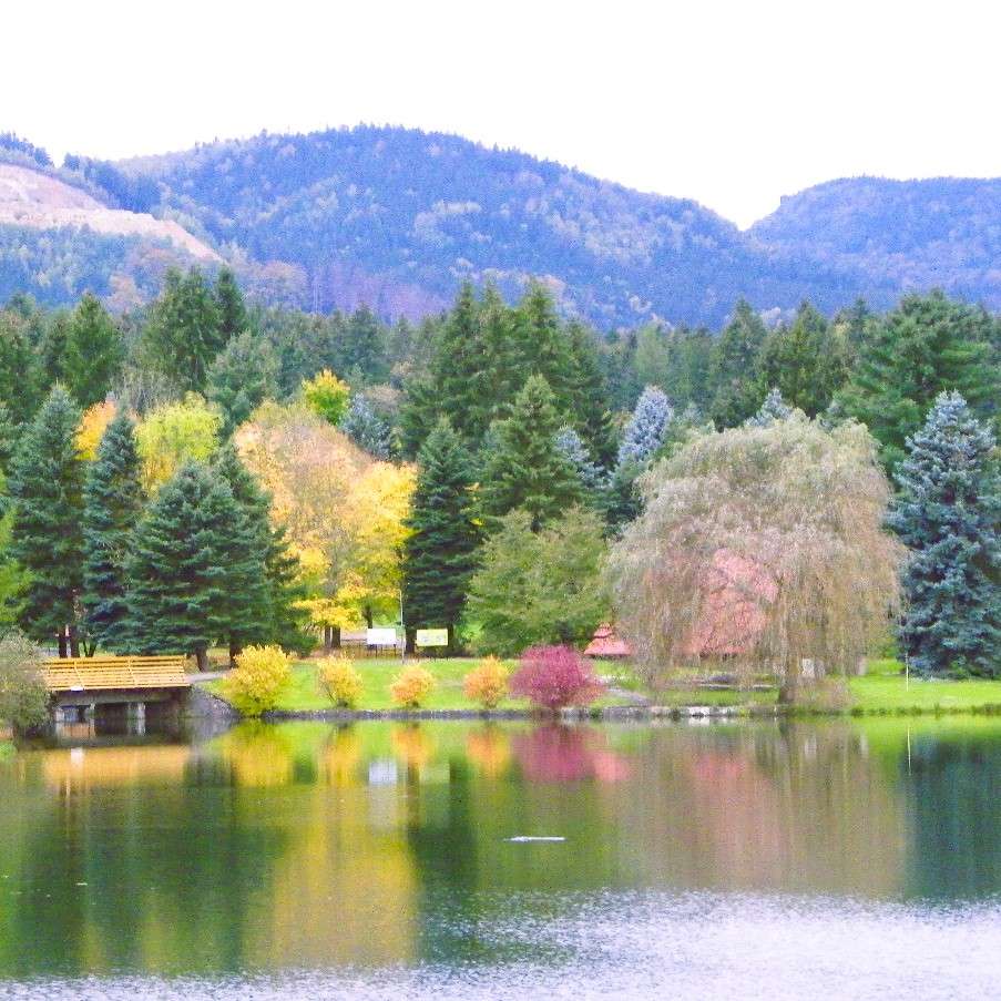 mountain view jigsaw puzzle online