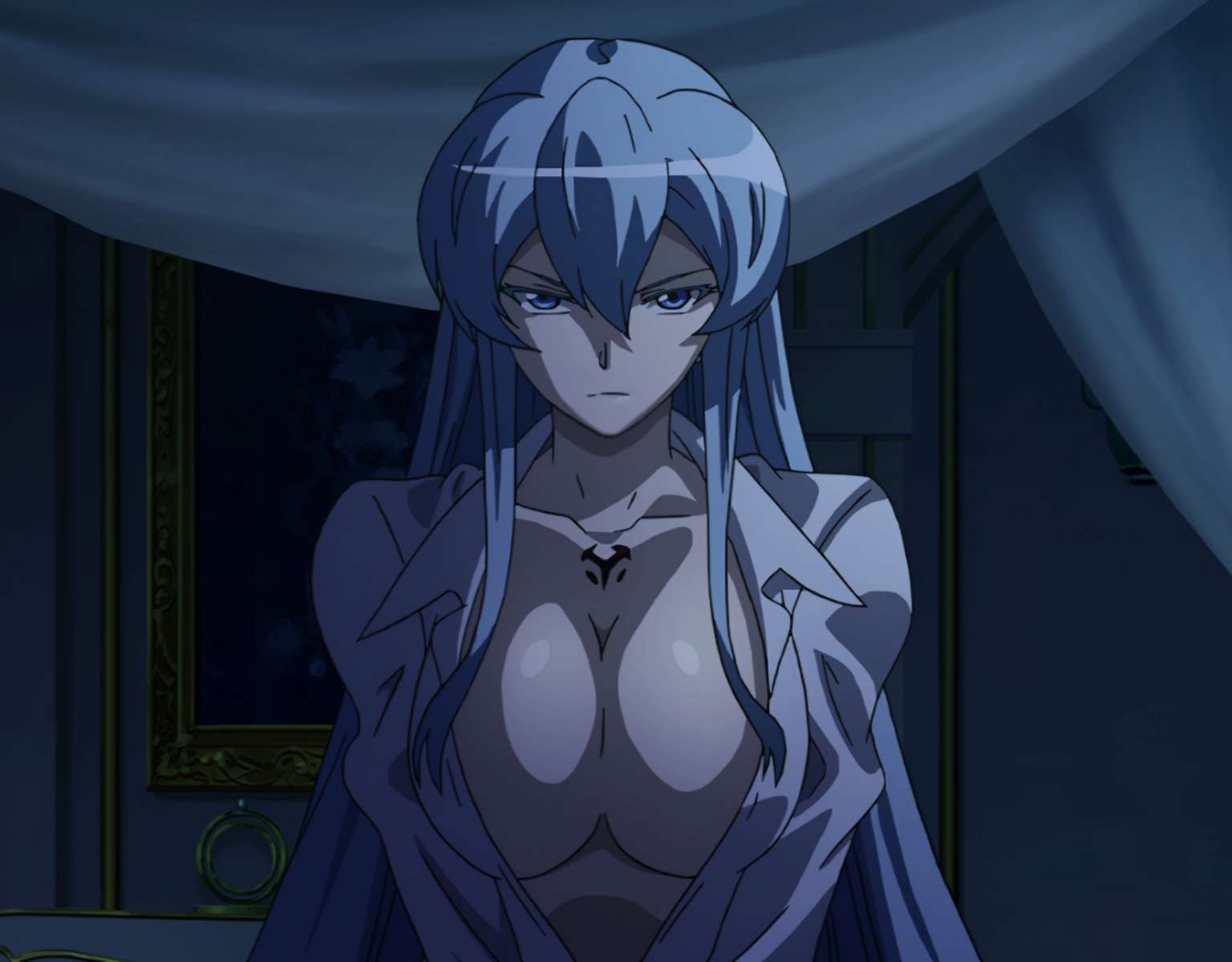 Esdeath. online puzzle