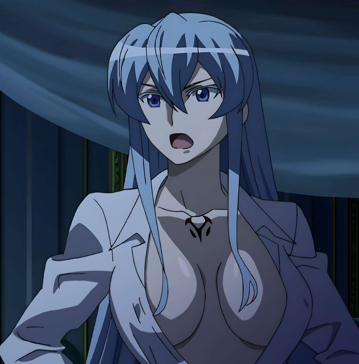 Esdeath. puzzle online