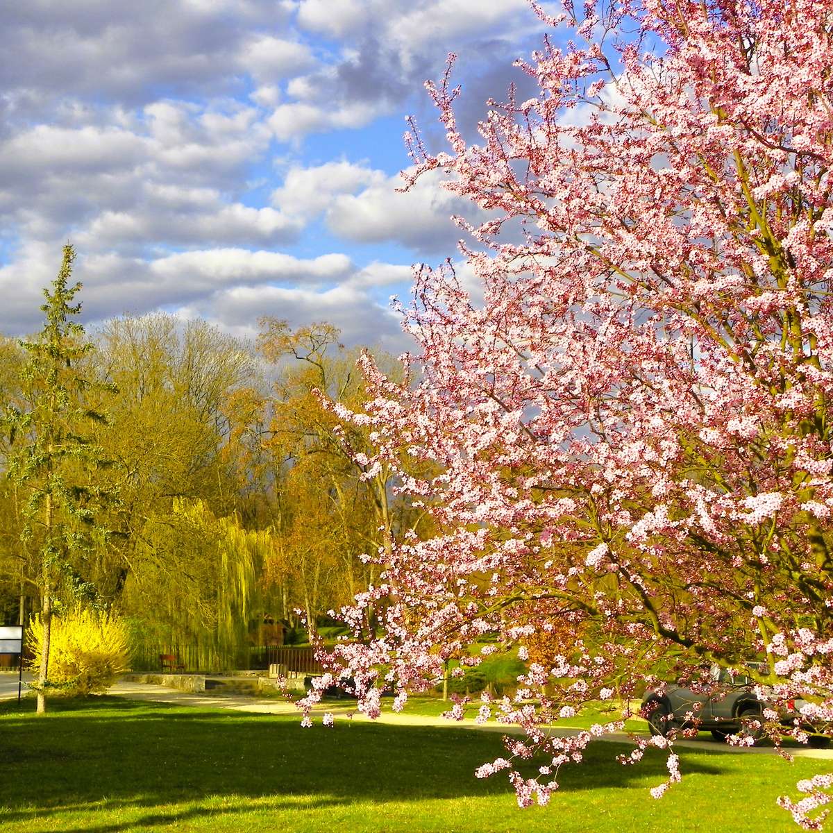 Spring in the city online puzzle