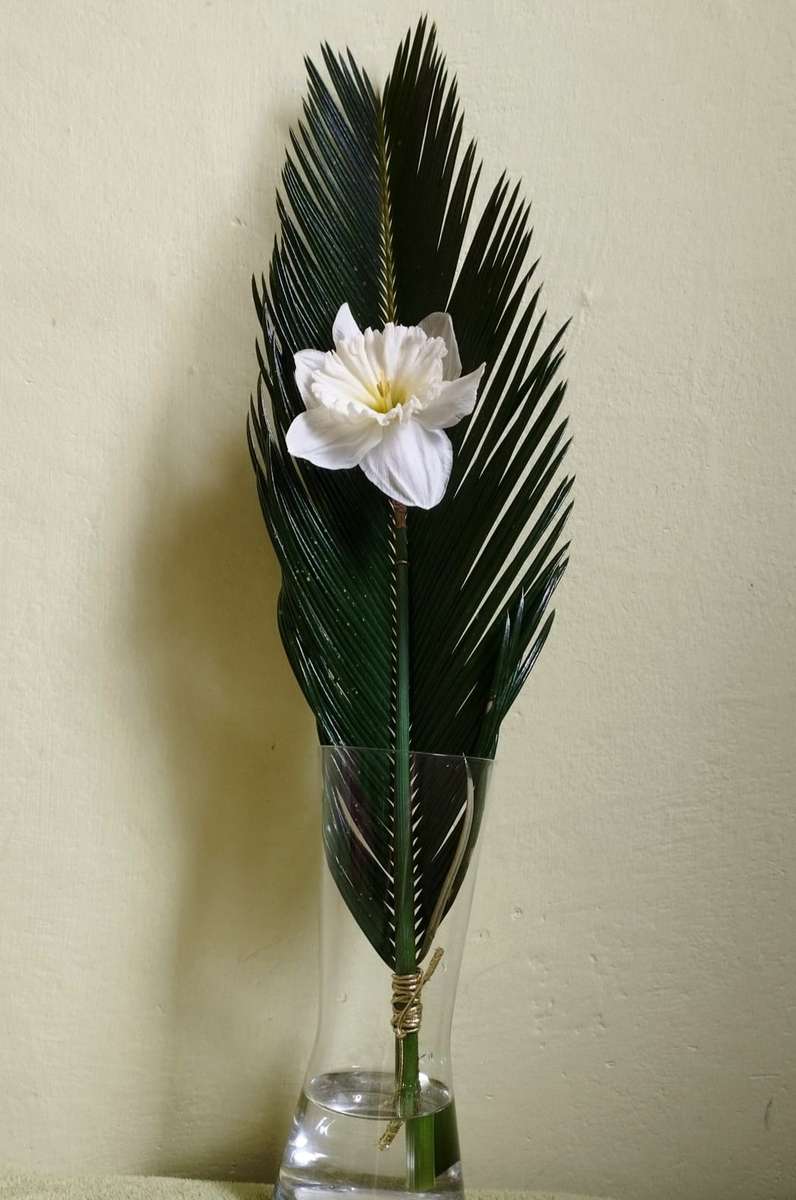 elegante palma pasquale puzzle online