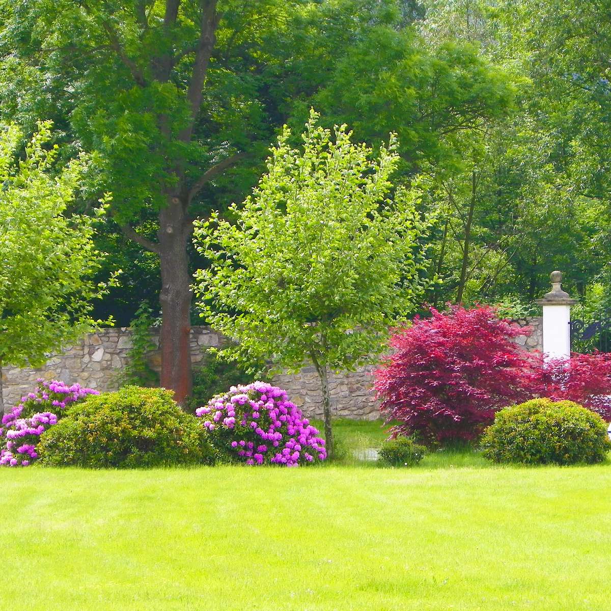 In the garden jigsaw puzzle online