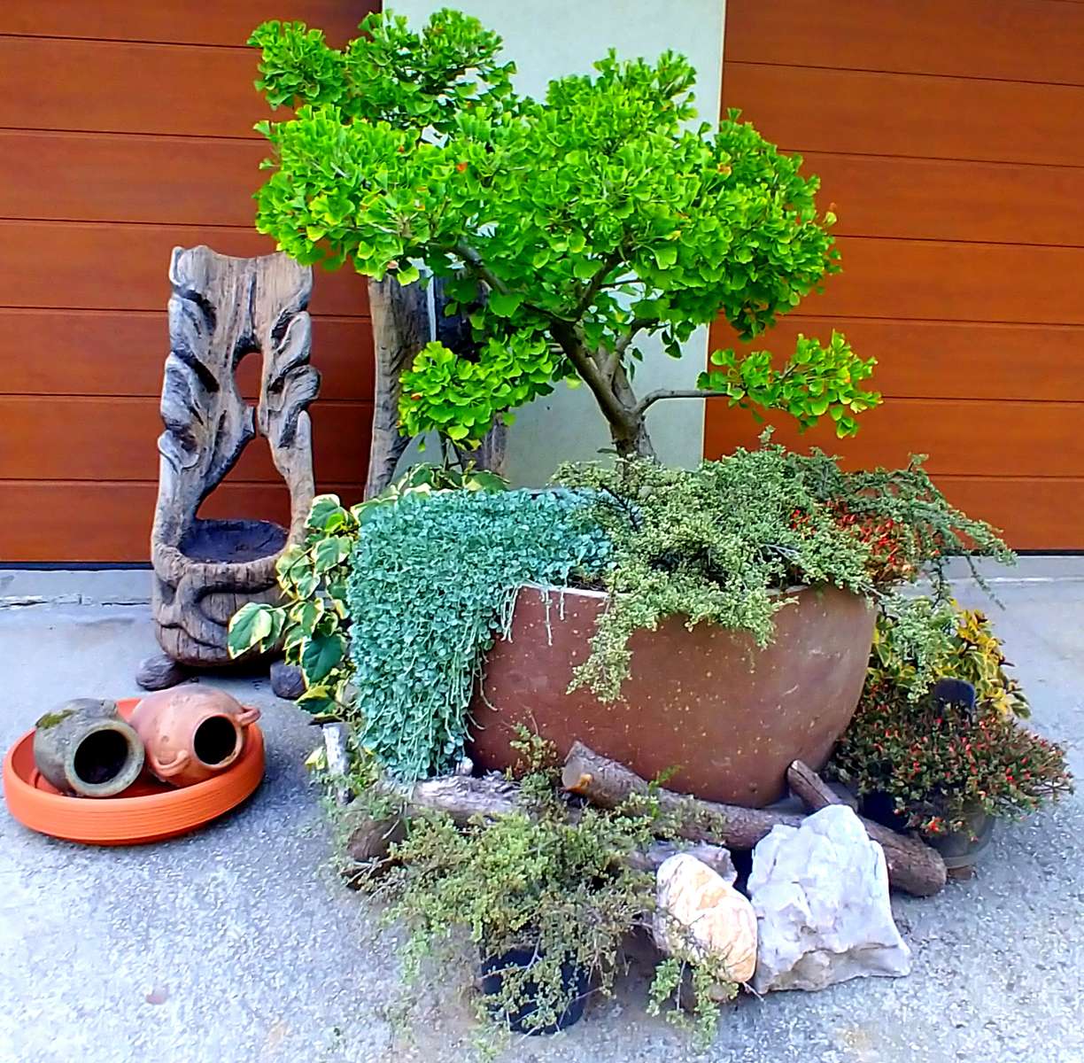 Kompozycja roślinna puzzle online