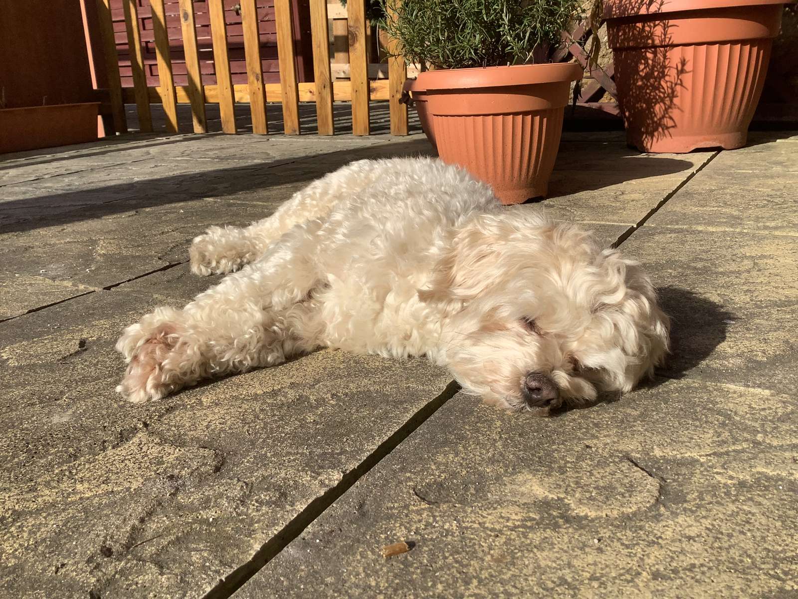 Caramel pihen kirakós online