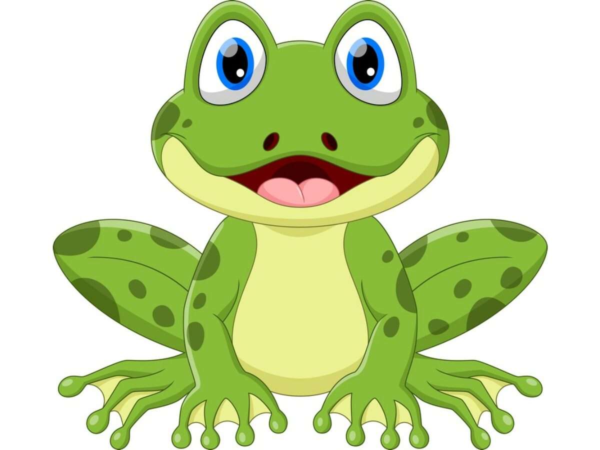 grüner Frosch Online-Puzzle