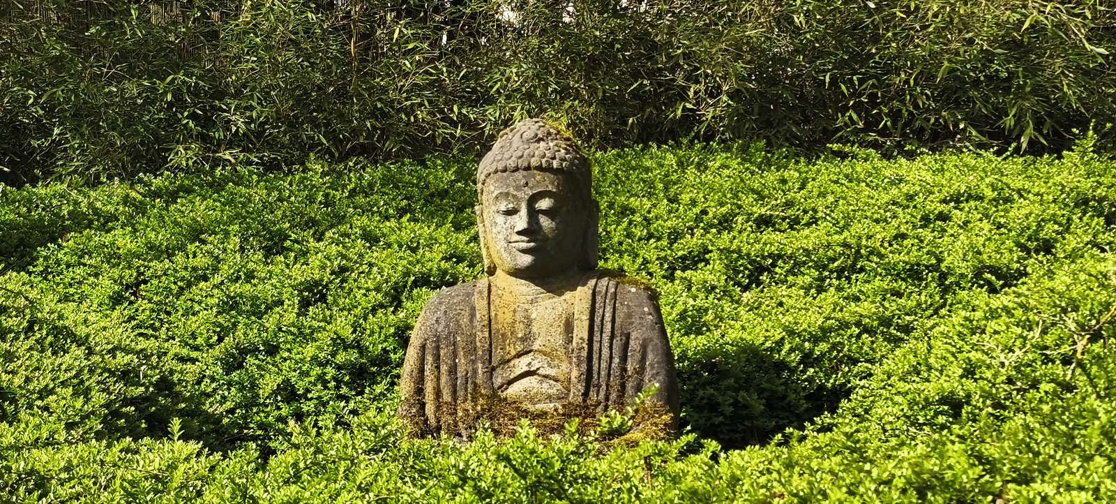 Buddha in the green online puzzle