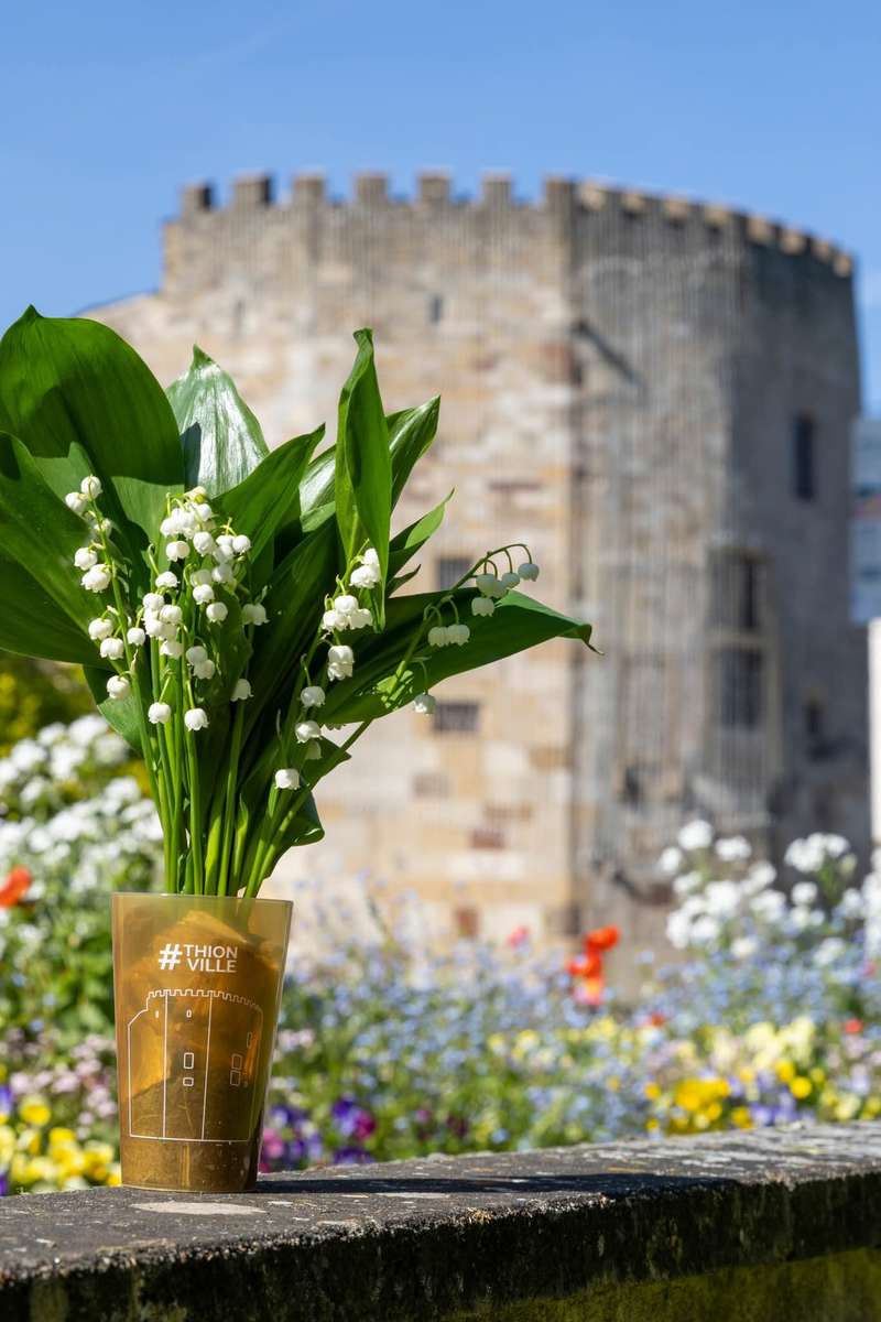 Miasto Thionville. puzzle online