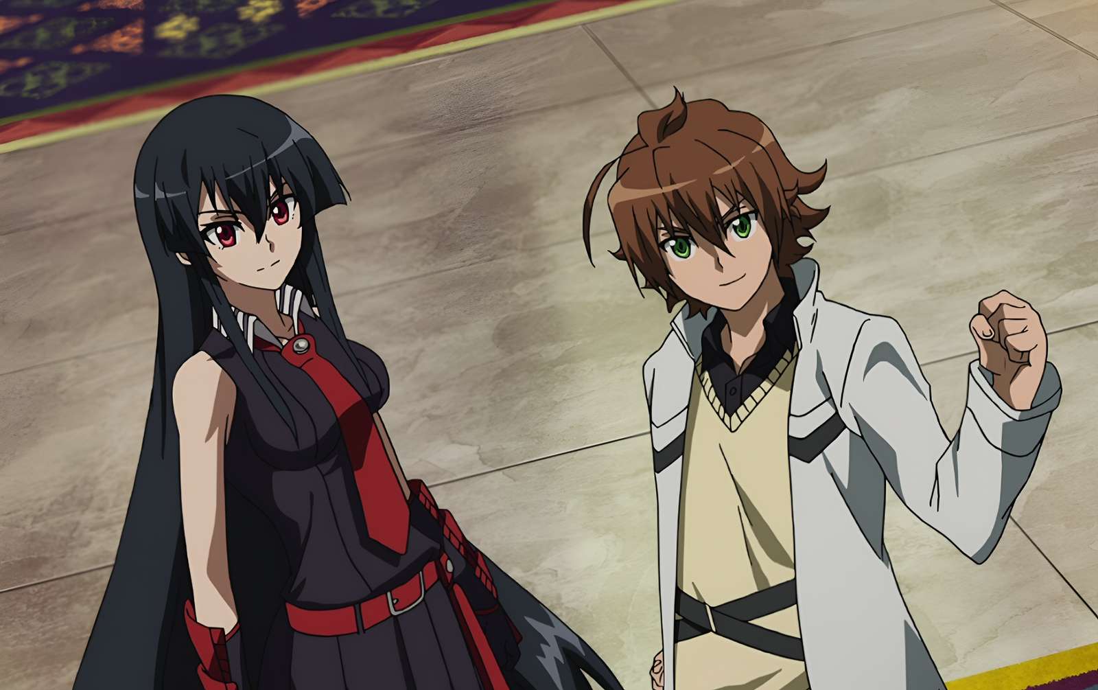 Akame och Tatsumi. Pussel online