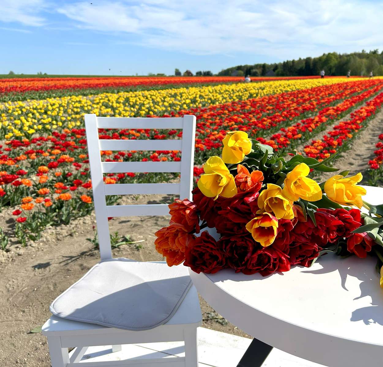 Tulipany puzzle online
