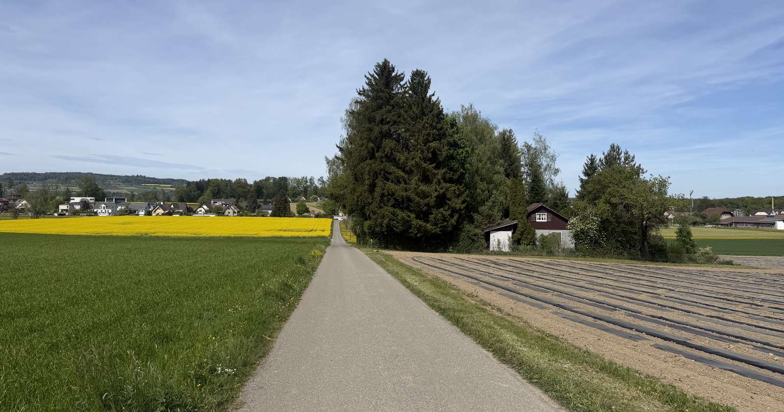 Thurgau Schweiz Dorf Haus Tanne Online-Puzzle