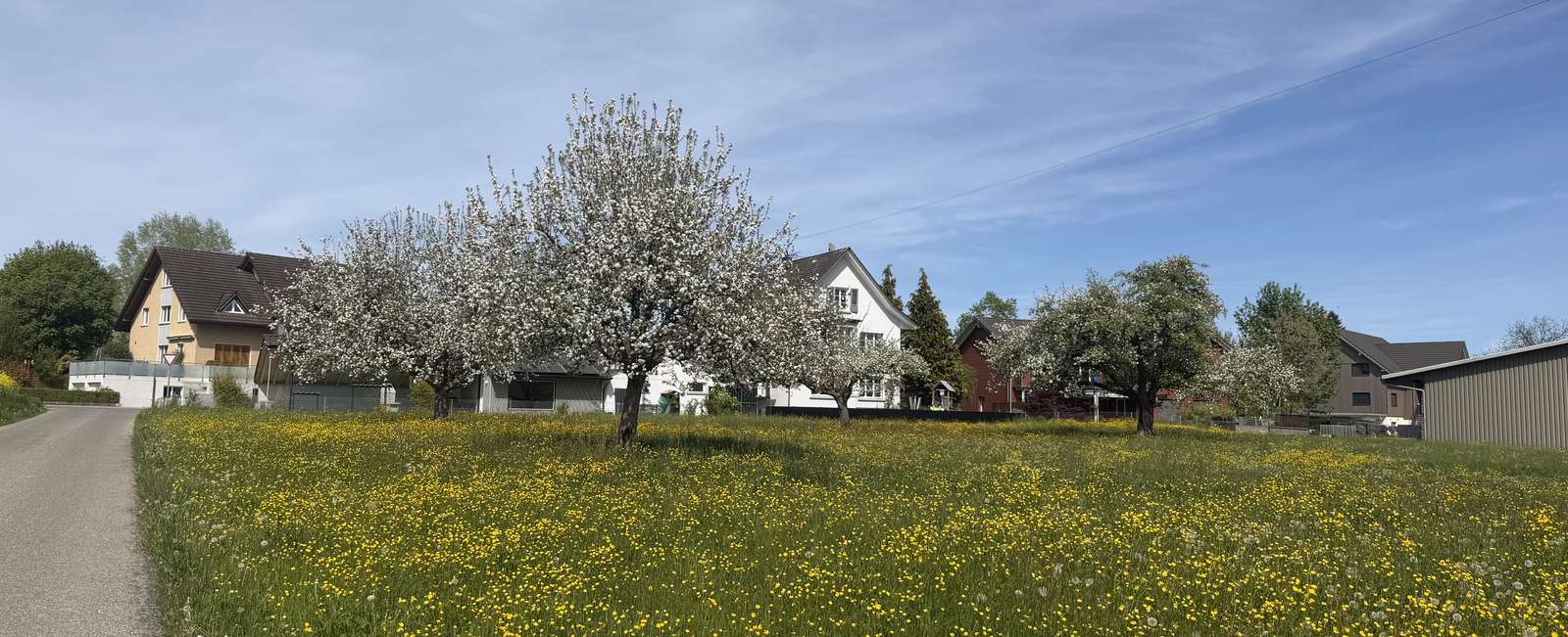 Frühling Dorf Baum Thurgau Schweiz Puzzlespiel online