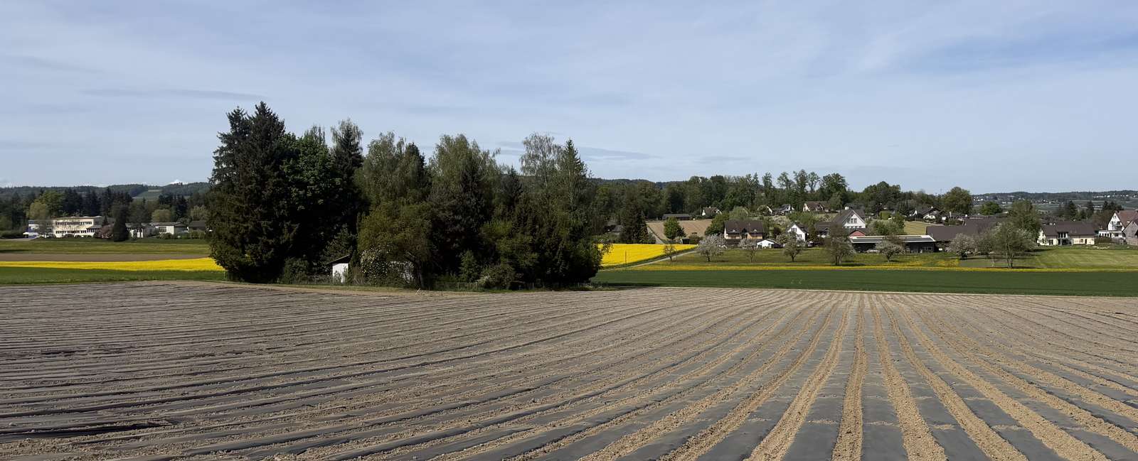 Feld Wald Dorf Thurgau Puzzlespiel online