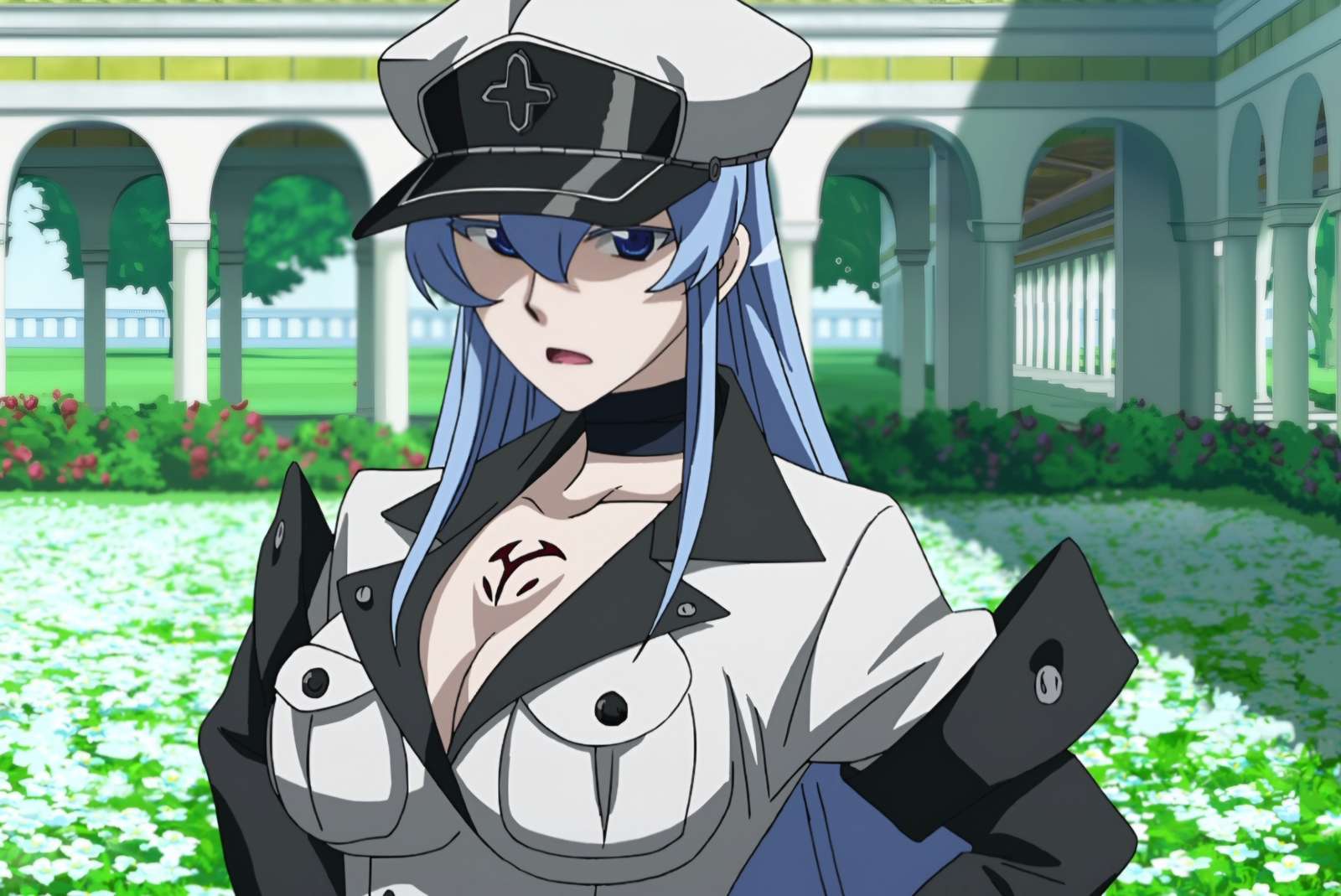 Esdeath. Pussel online