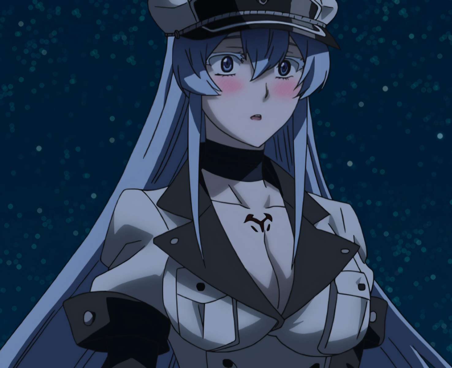 Esdeath. online puzzle