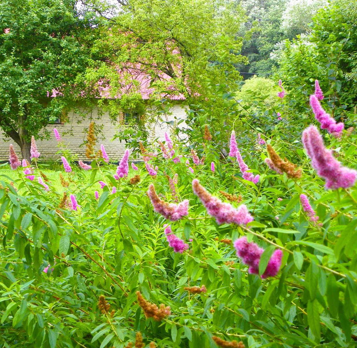 Lublin village jigsaw puzzle online