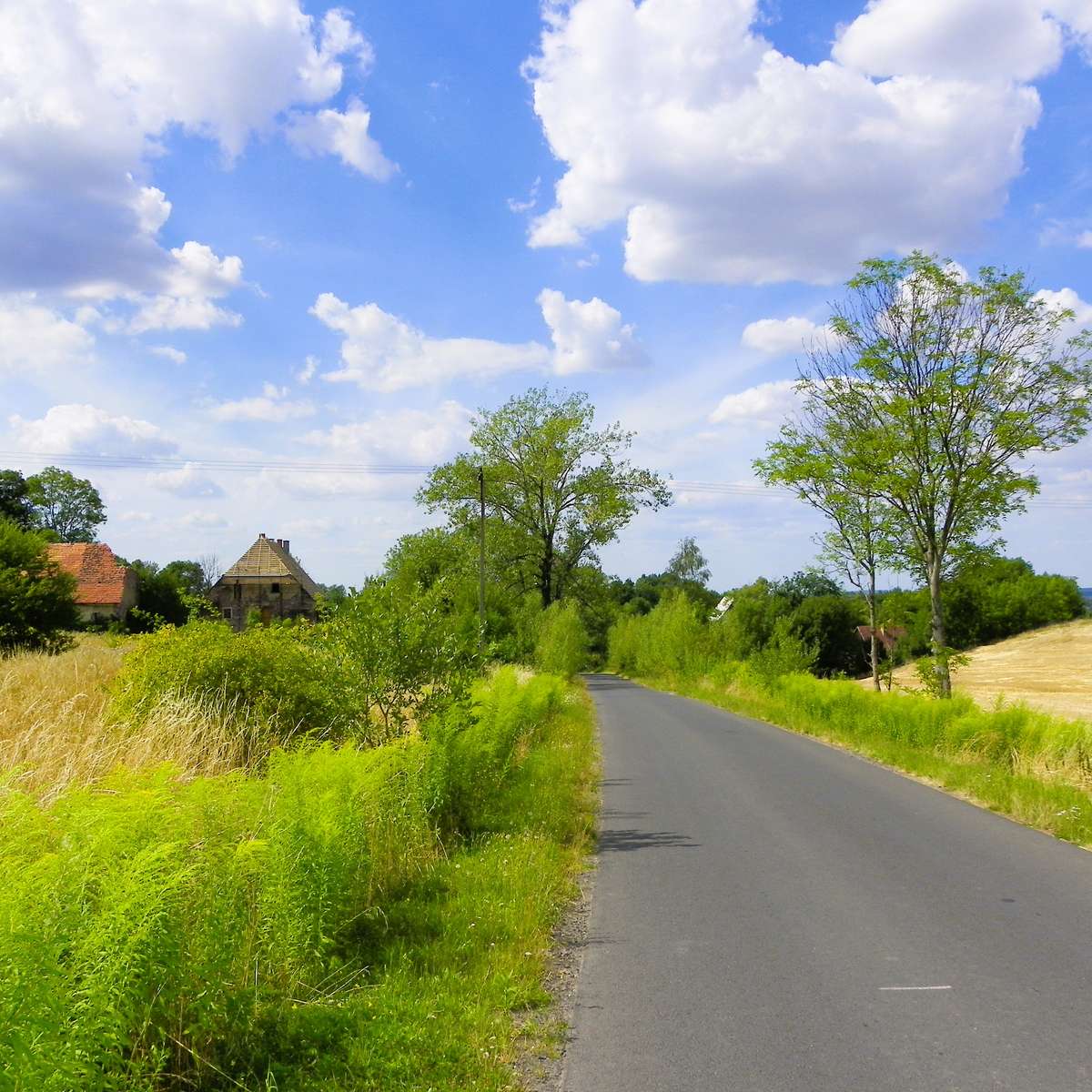 In de buurt van Legnica online puzzel