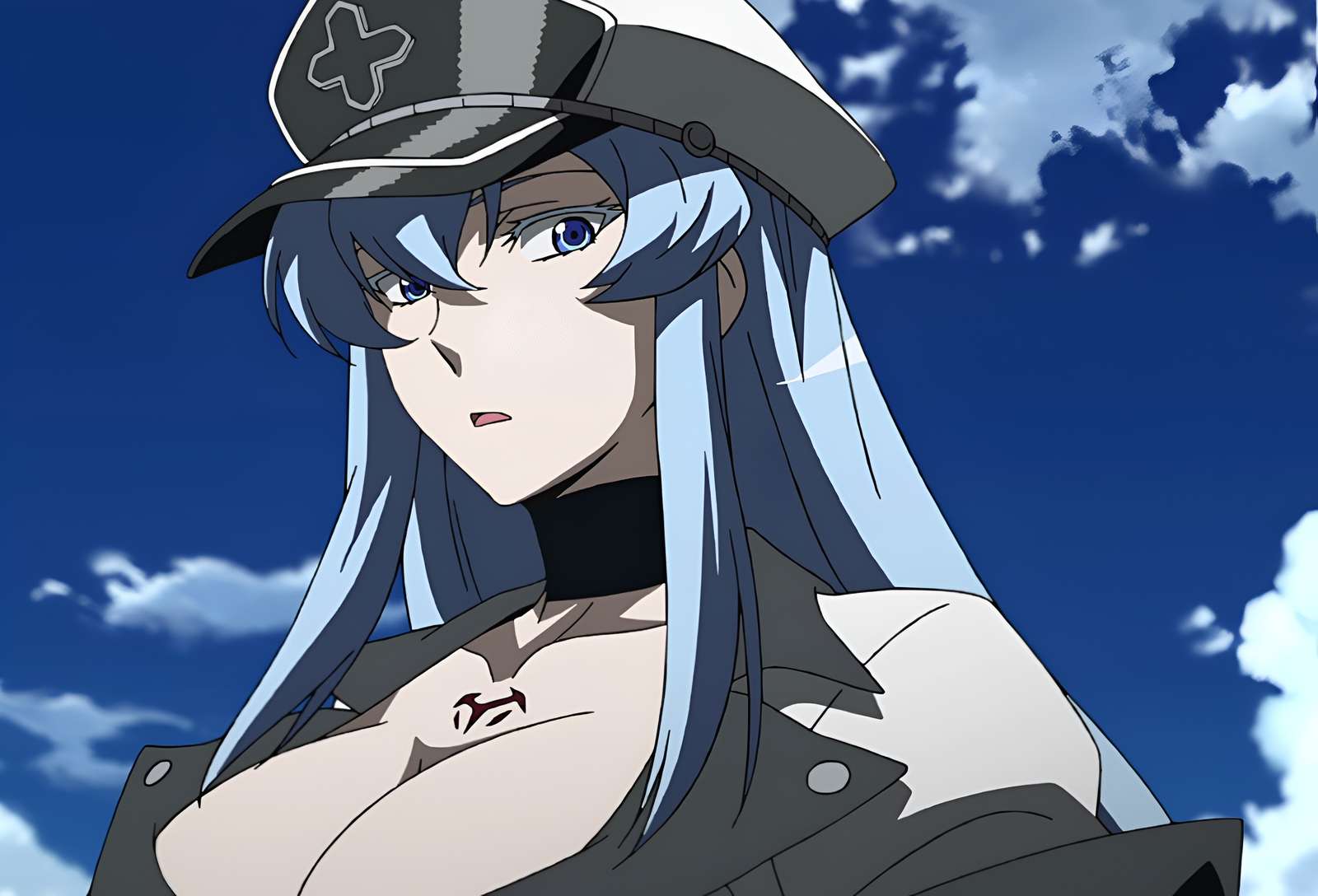 Esdeath. online puzzle