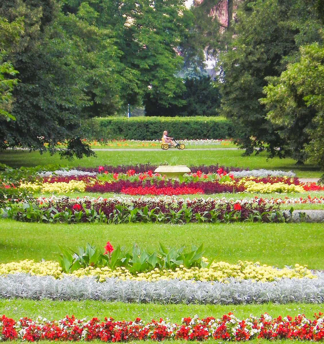 Zamość latem puzzle online
