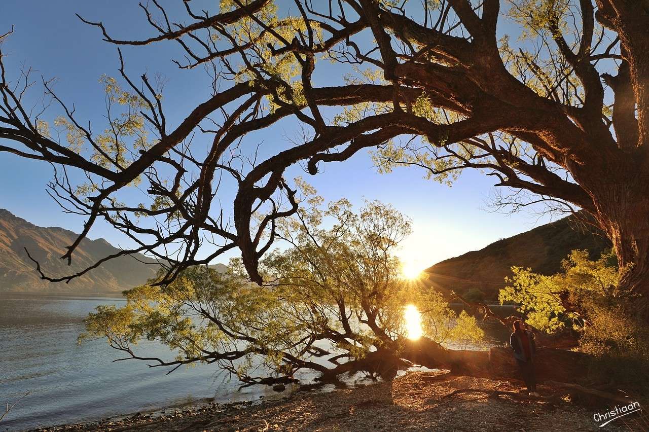 Puesta de sol, Agua, Nueva Zelanda. rompecabezas en línea