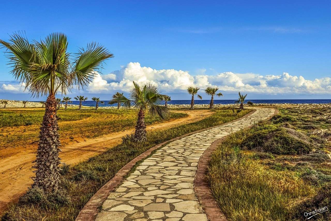 Camino de ronda, Palmeras, Naturaleza. rompecabezas en línea