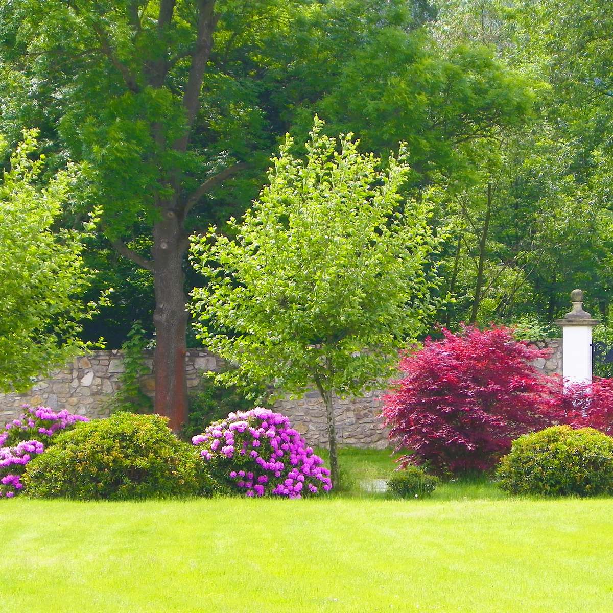 Dans le jardin puzzle en ligne