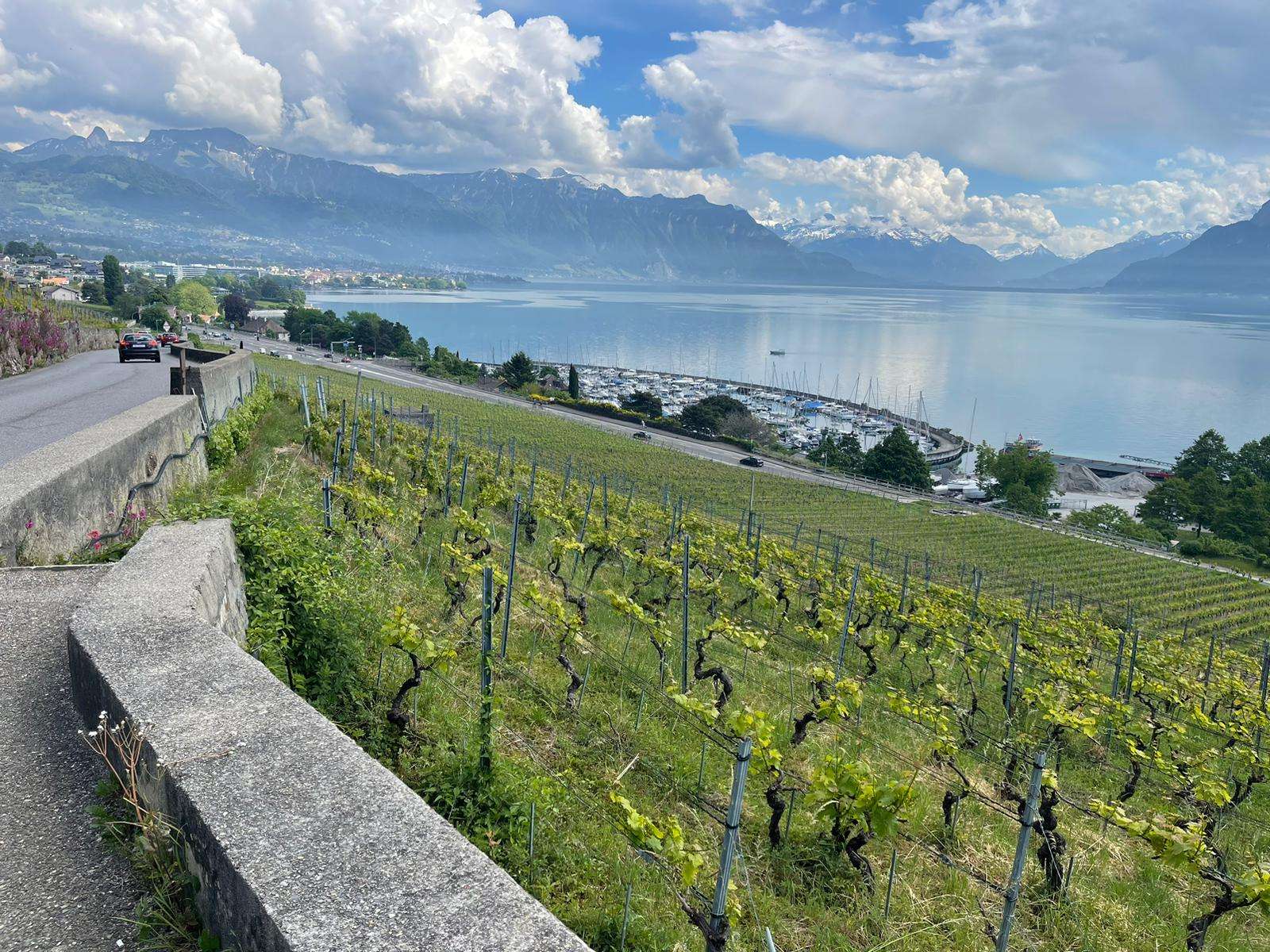 Lacul Geneva Lac Leman apă podgorie puzzle online