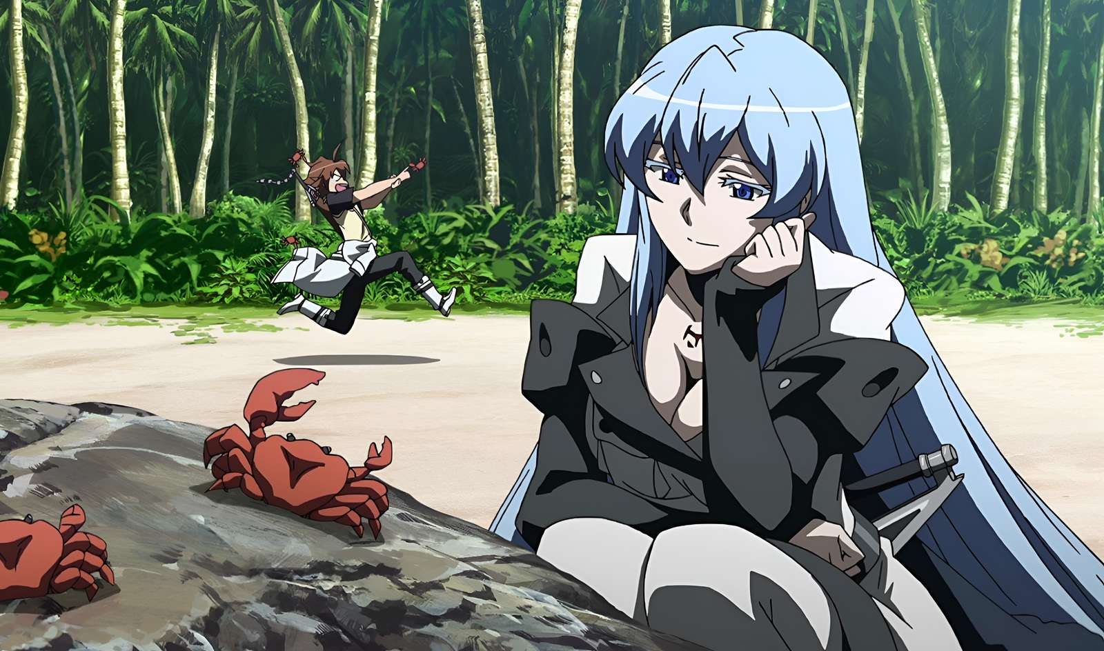 Tatsumi și esdeath. puzzle online