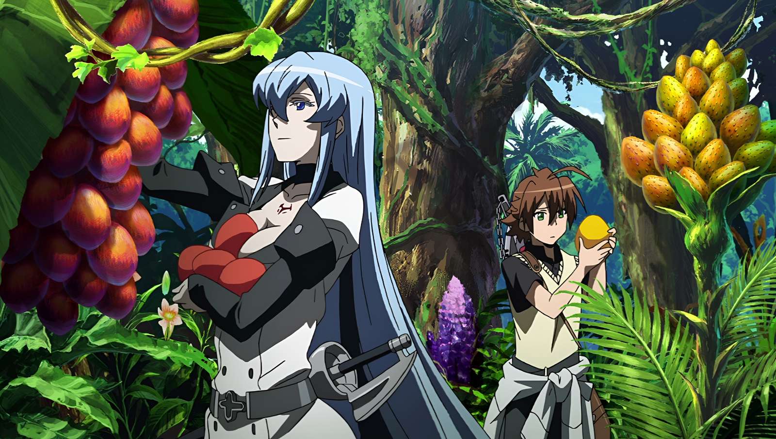 Esdeath și Tatsumi. jigsaw puzzle online