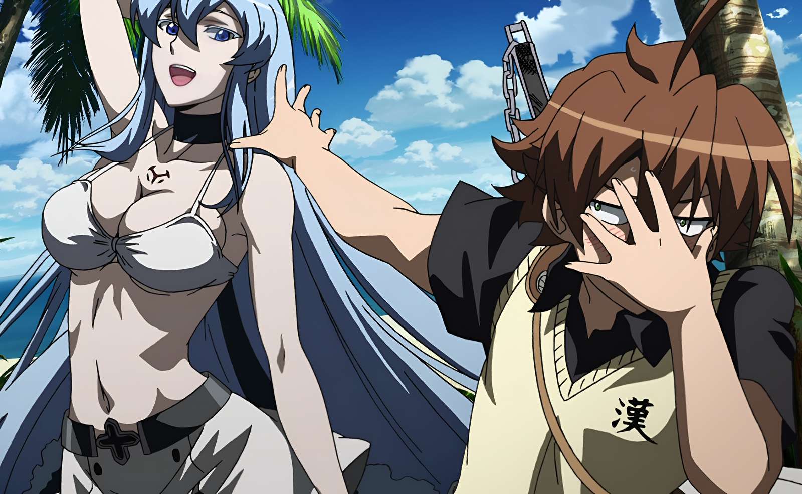 Esdeath și Tatsumi. puzzle online