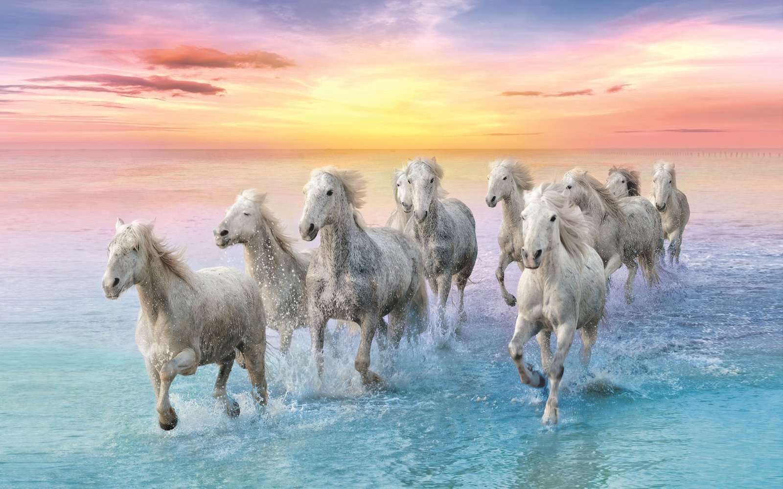 Konie w galopie puzzle online