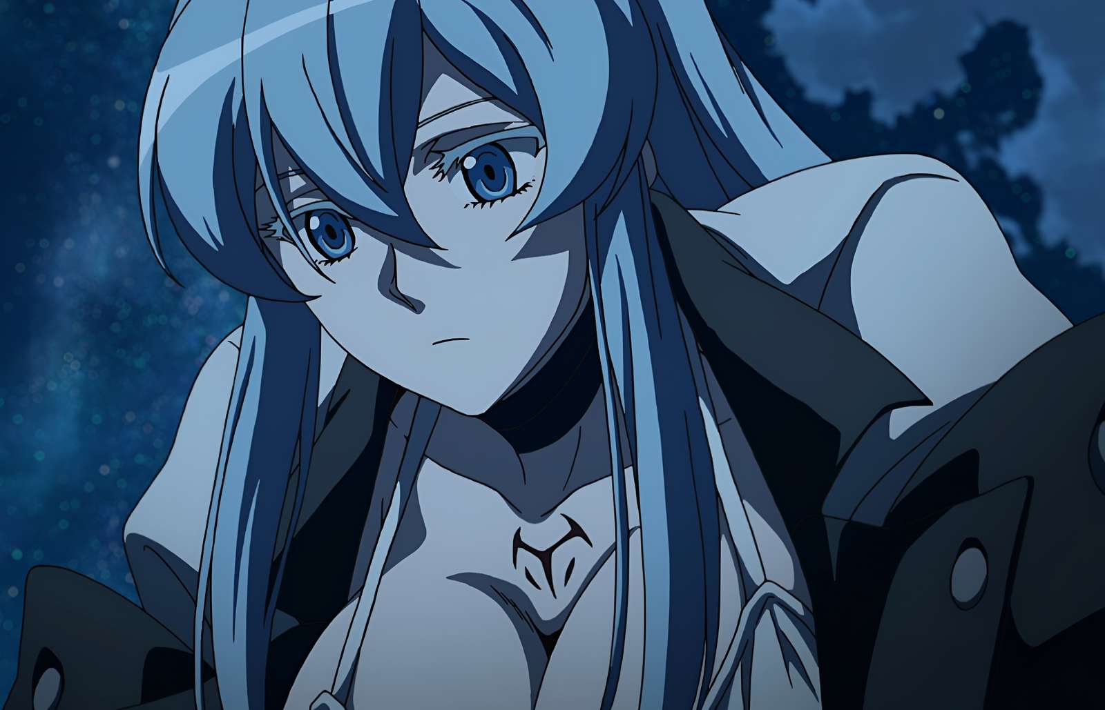 Esdeath. jigsaw puzzle online