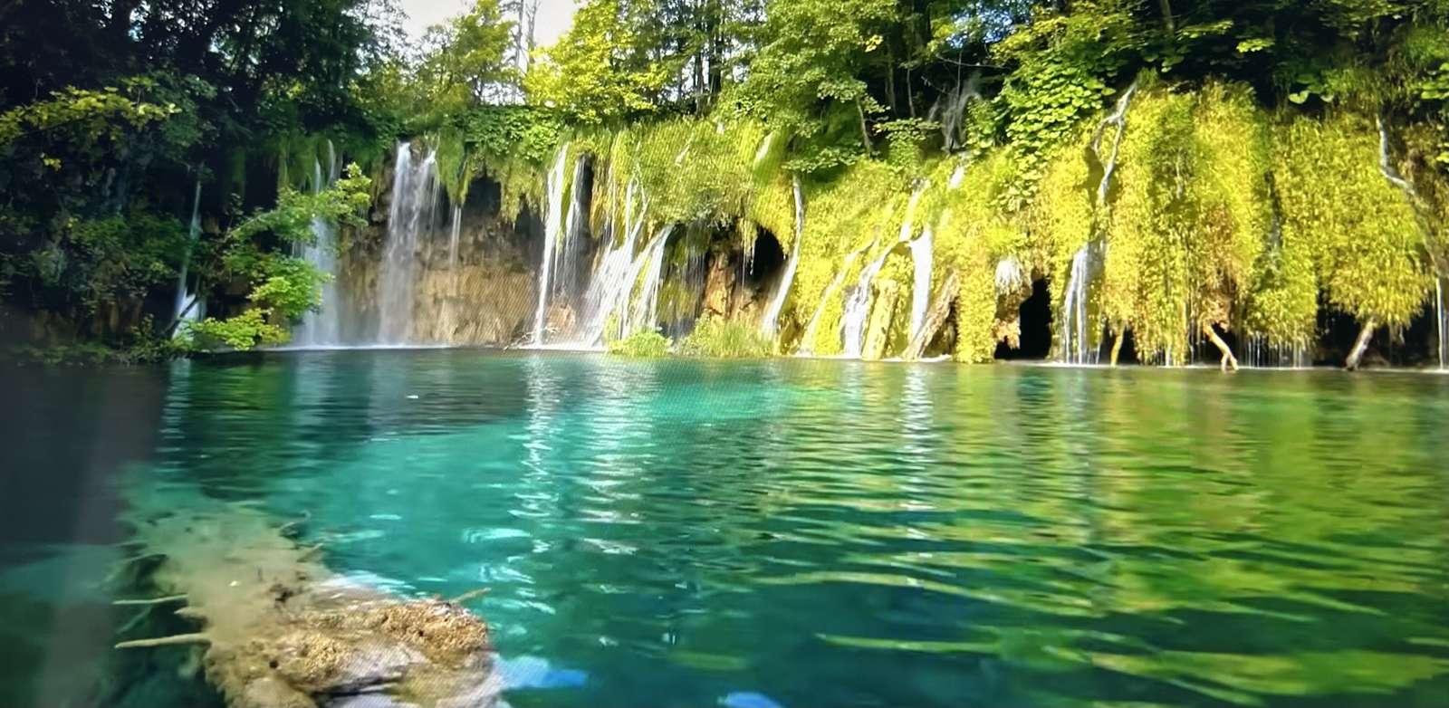 la nature est magique puzzle en ligne