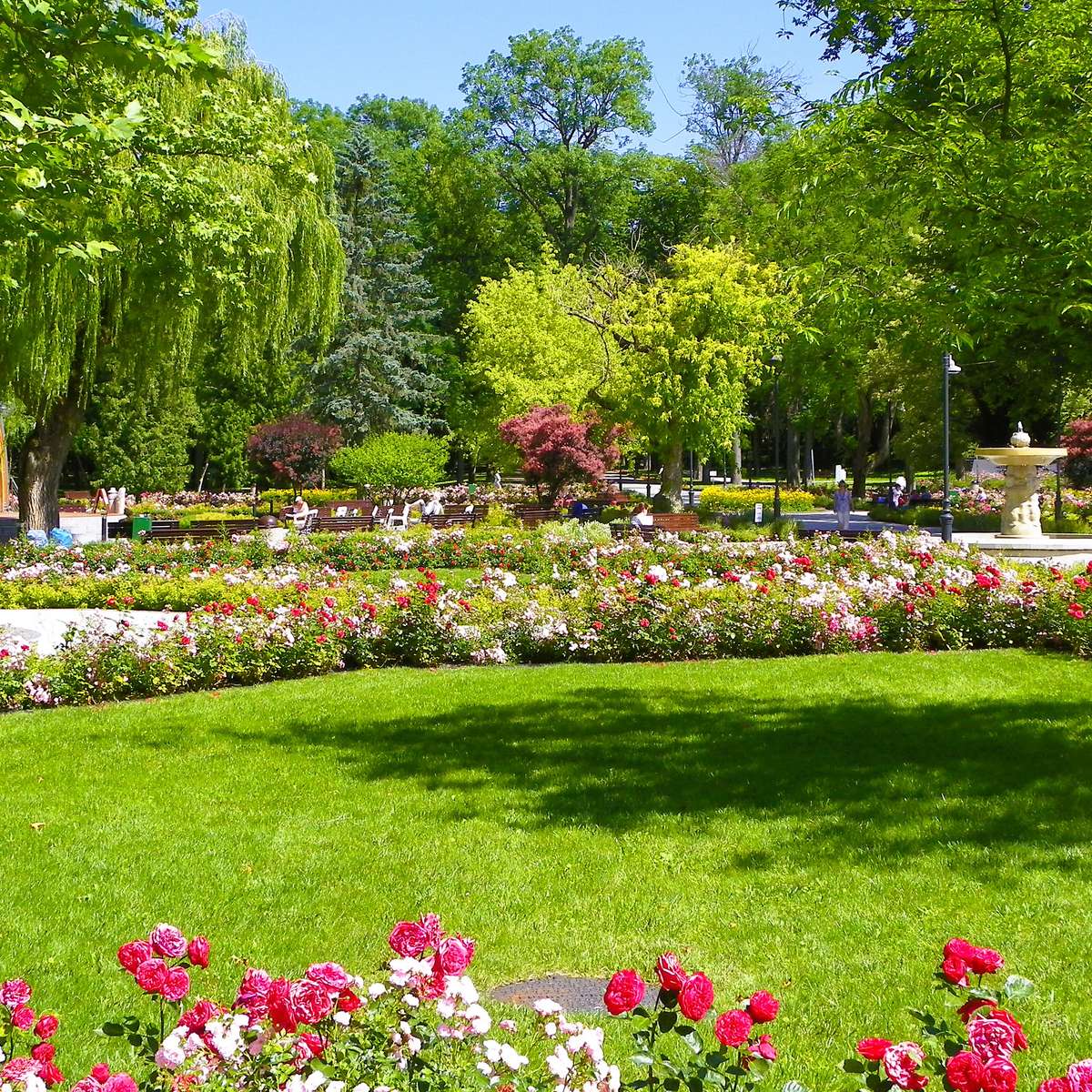 parque en junio rompecabezas en línea