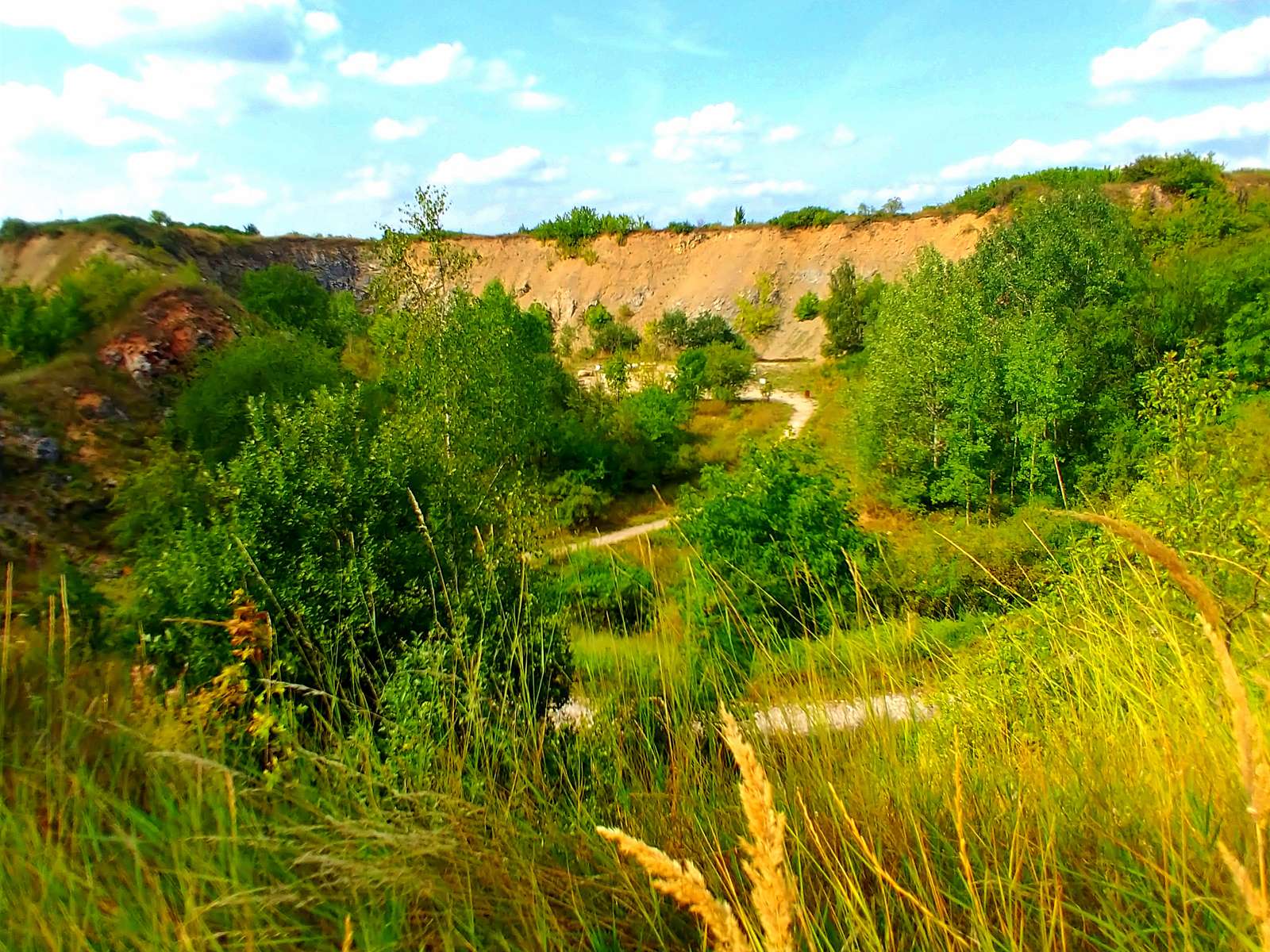Wietrznia Nature Reserve online puzzle