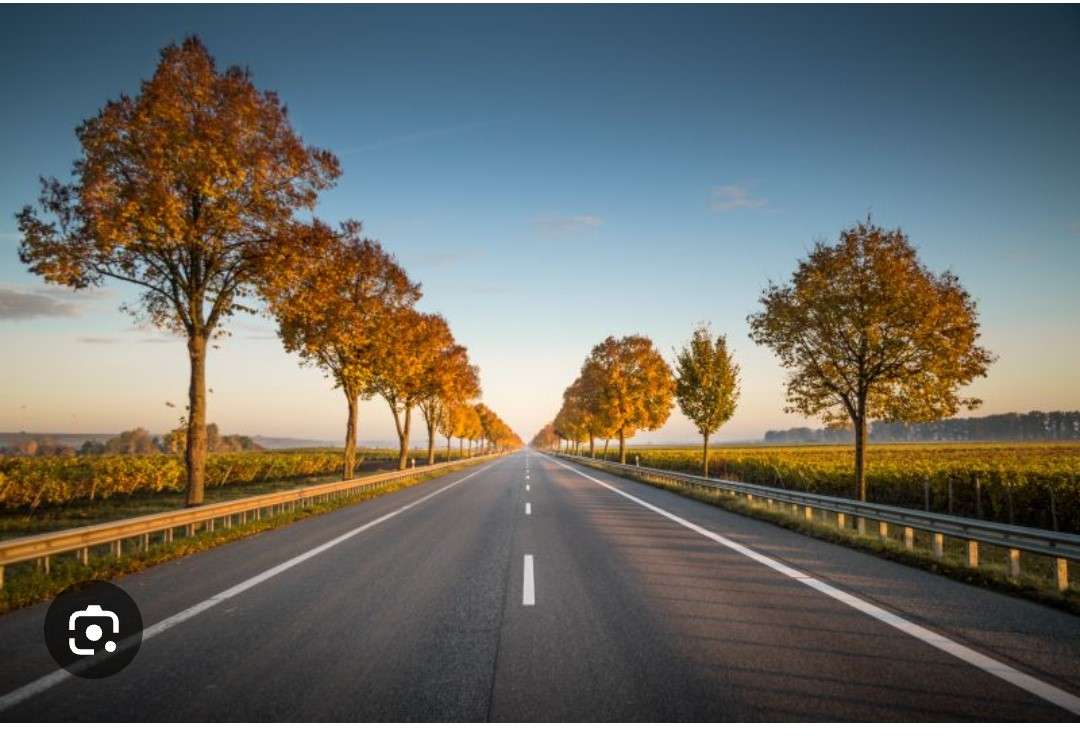 Seien Sie vorsichtig, wenn Sie die Straße überqueren Puzzlespiel online