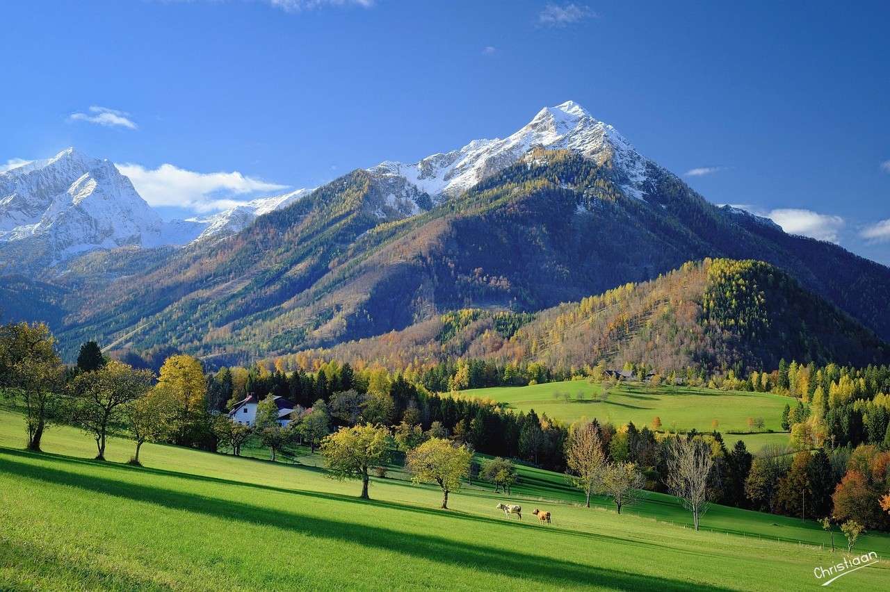 Montagnes, prairie, prairie alpine. puzzle en ligne