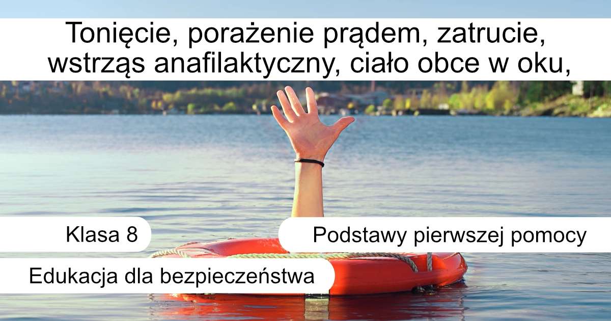 pentru clasa a 8-a jigsaw puzzle online