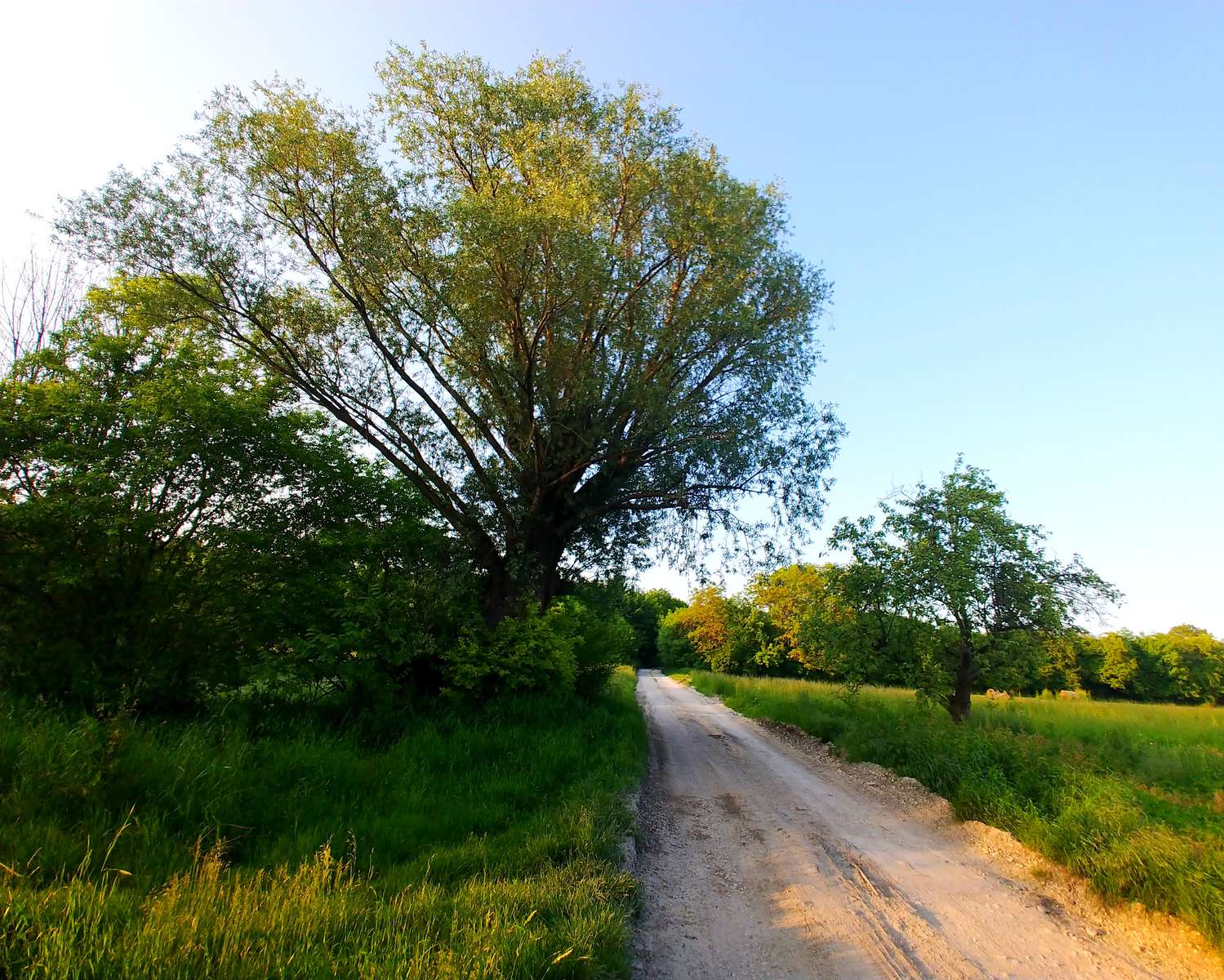 Feldweg Online-Puzzle
