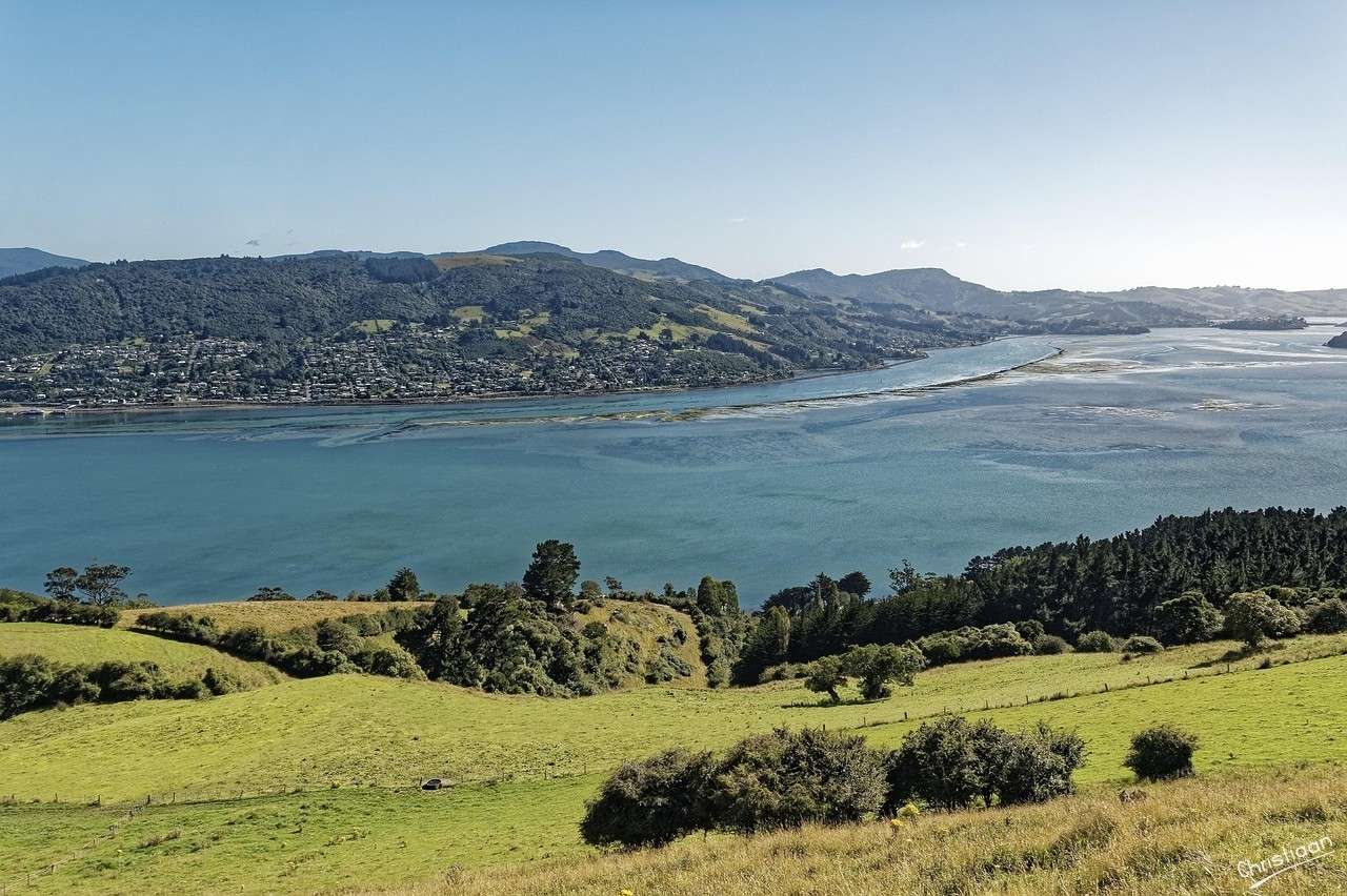 Nueva Zelanda, Puerto de Otago, Puerto Natural. rompecabezas en línea