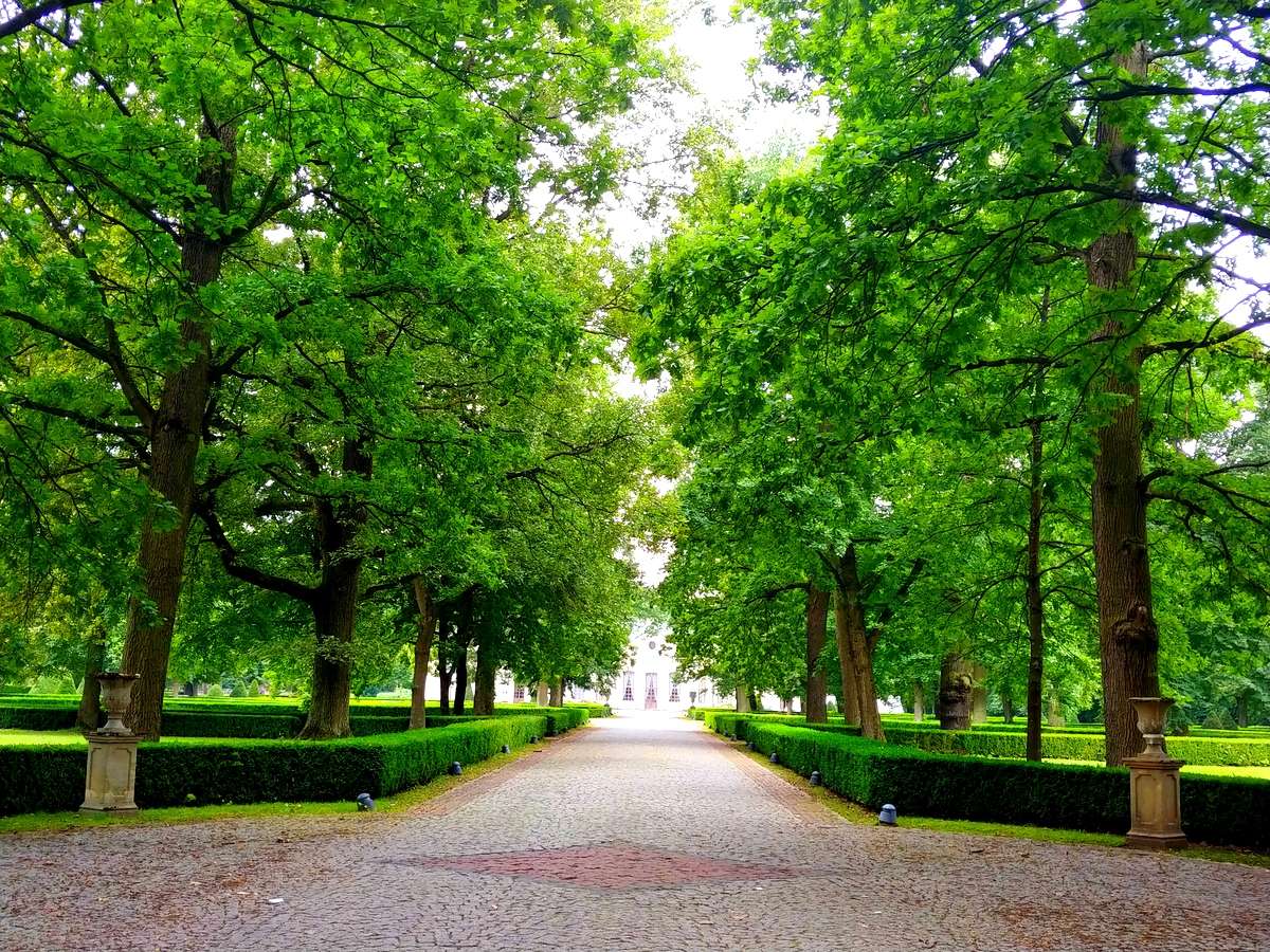 Alee pitorească din parc jigsaw puzzle online