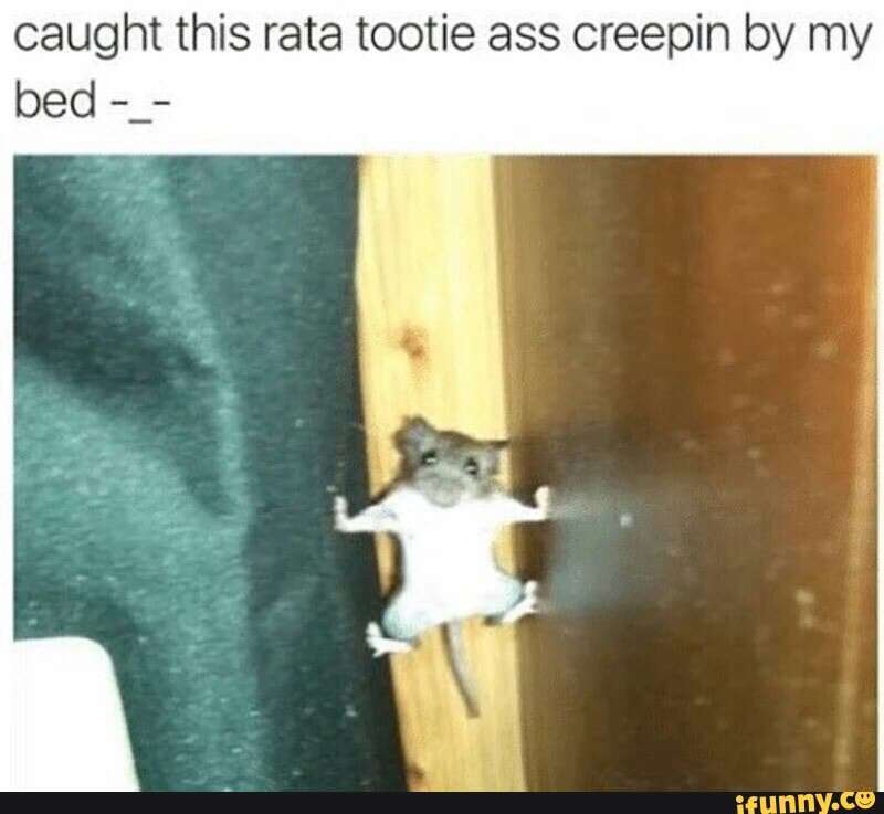 rata tootie puzzle online