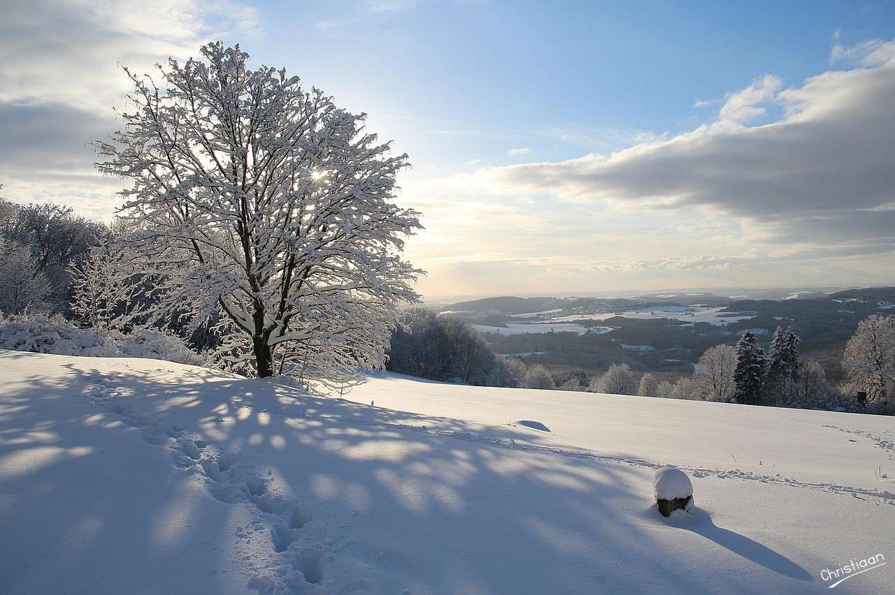 Neve, inverno, freddo. puzzle online