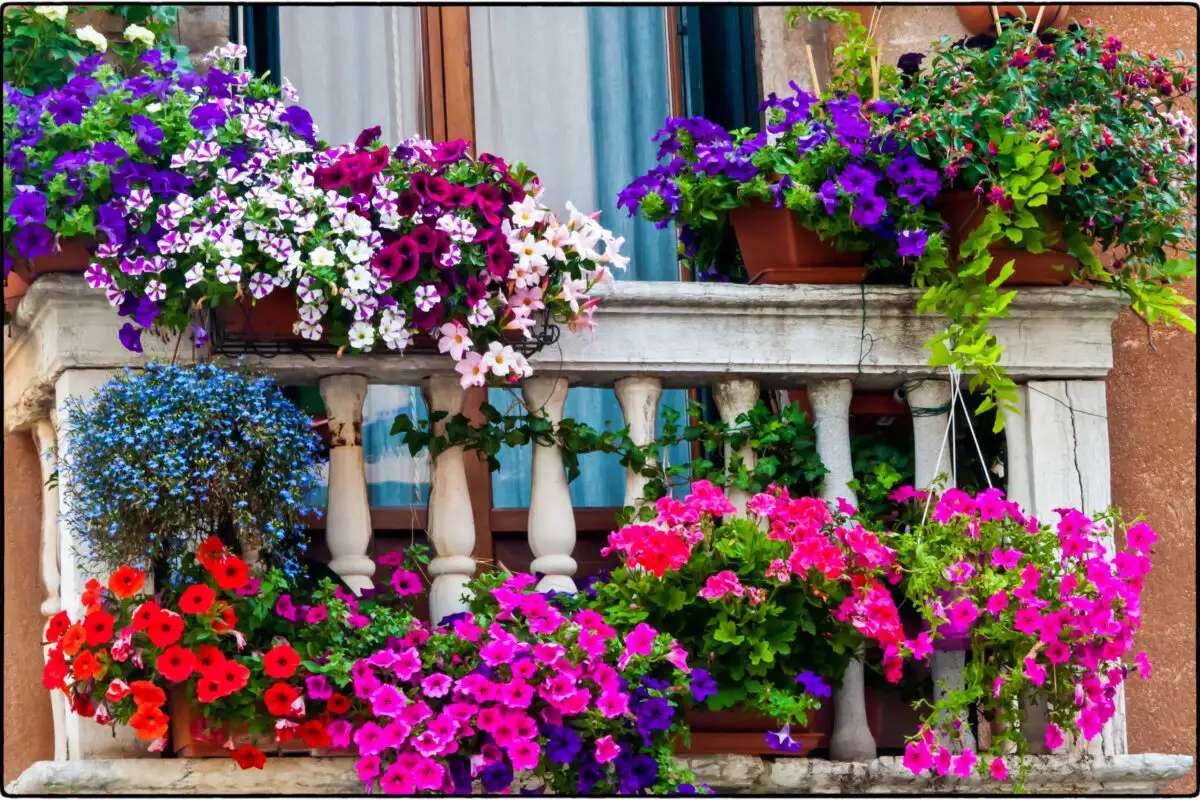 Flori pe balcon jigsaw puzzle online