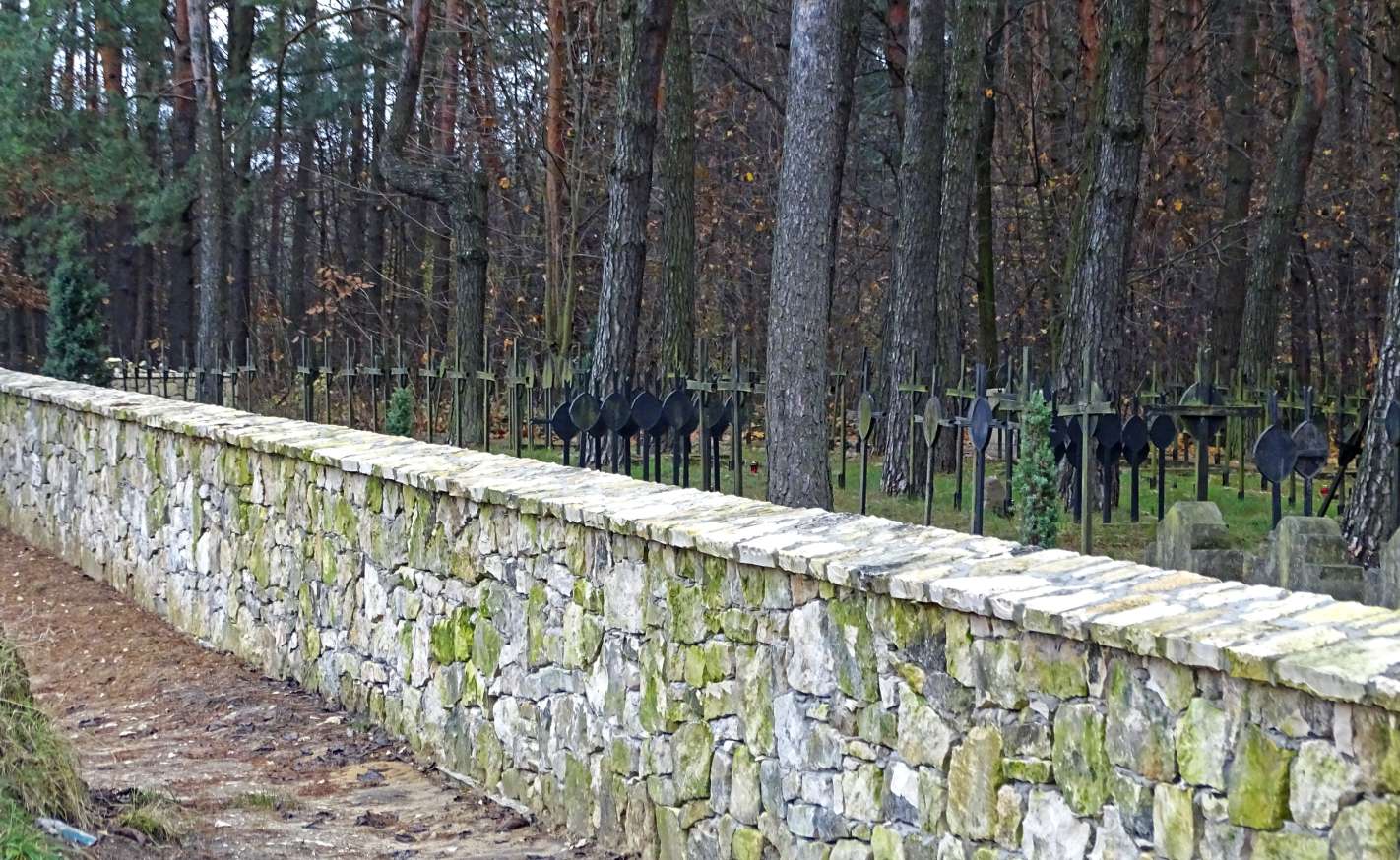 Kotowice. Uno storico cimitero di guerra della Prima Guerra Mondiale puzzle online