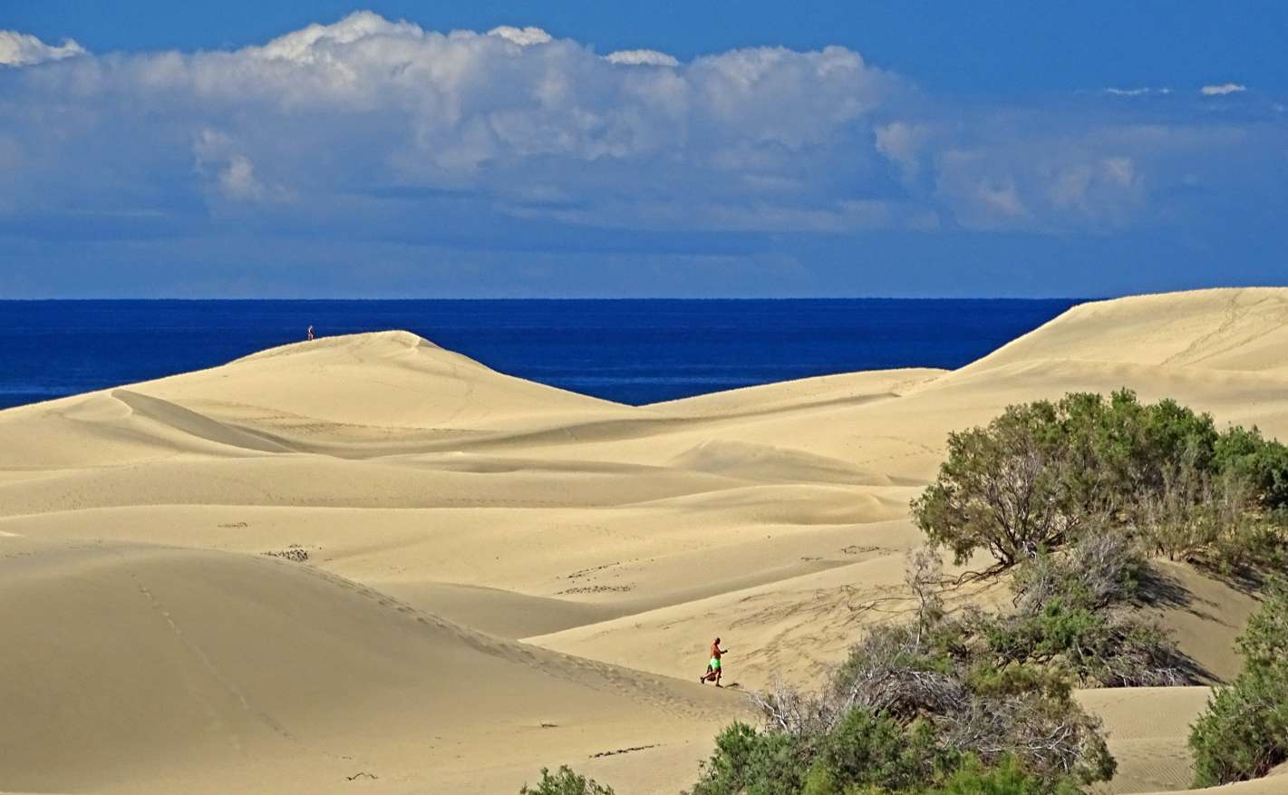 Dune di Maspalomas puzzle online