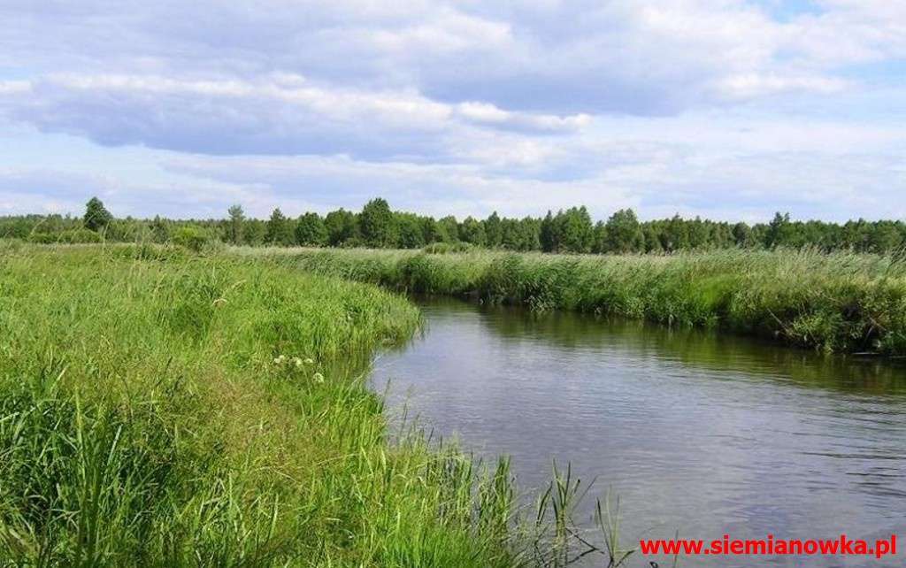 La pittoresque rivière Narew puzzle en ligne