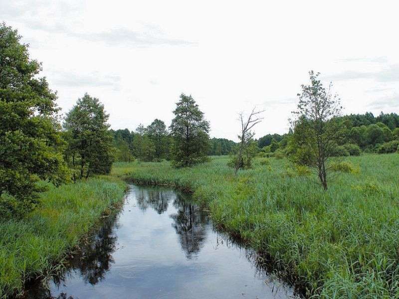 Une rivière pittoresque en Podlasie puzzle en ligne