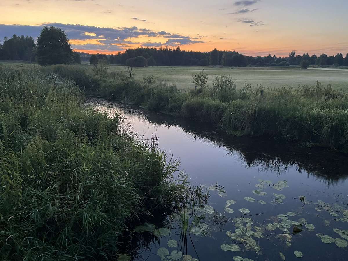 Une rivière pittoresque en Podlasie puzzle en ligne